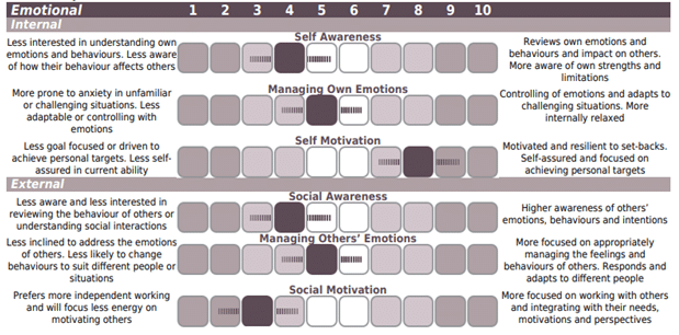 Emotional Focus Profile