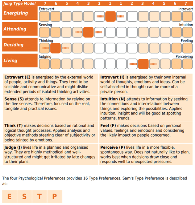 Type Preferences