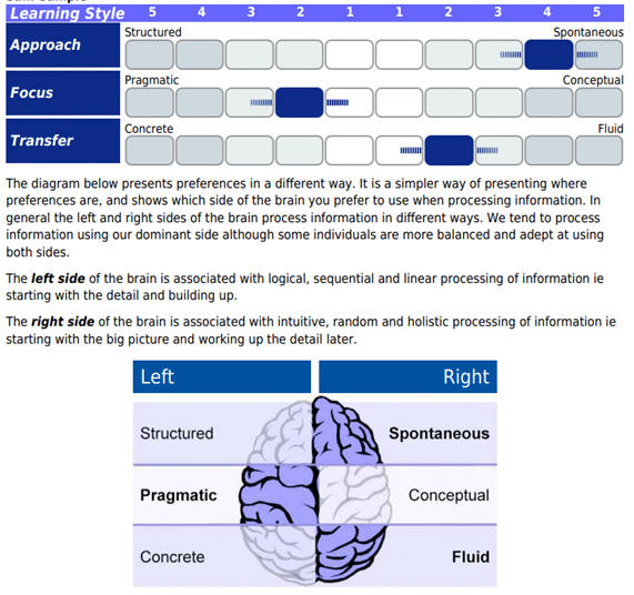 Identity Profile Learning Style